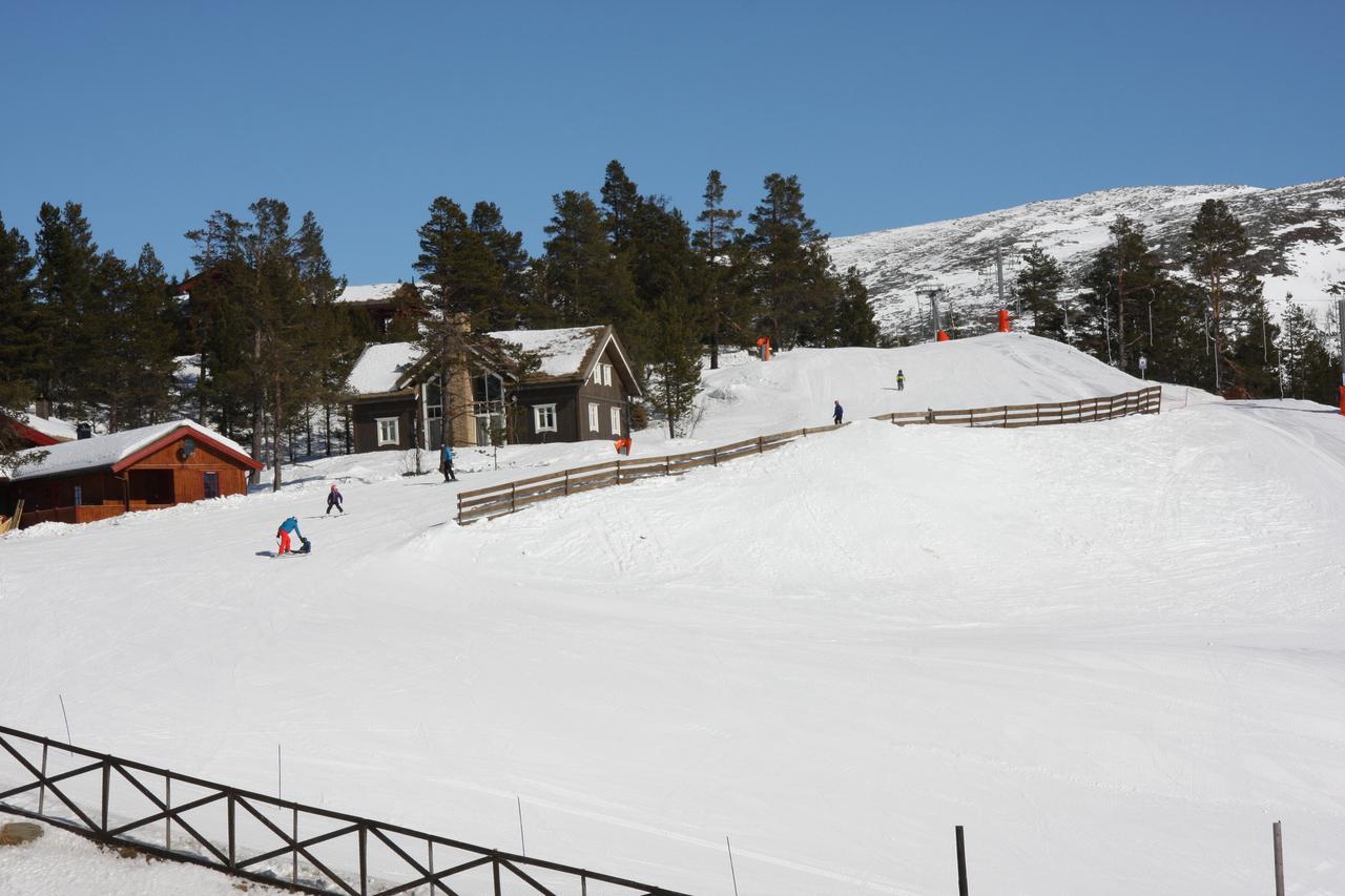 Lemonsjo Fjellstue Og Hyttegrend Randsverk ภายนอก รูปภาพ