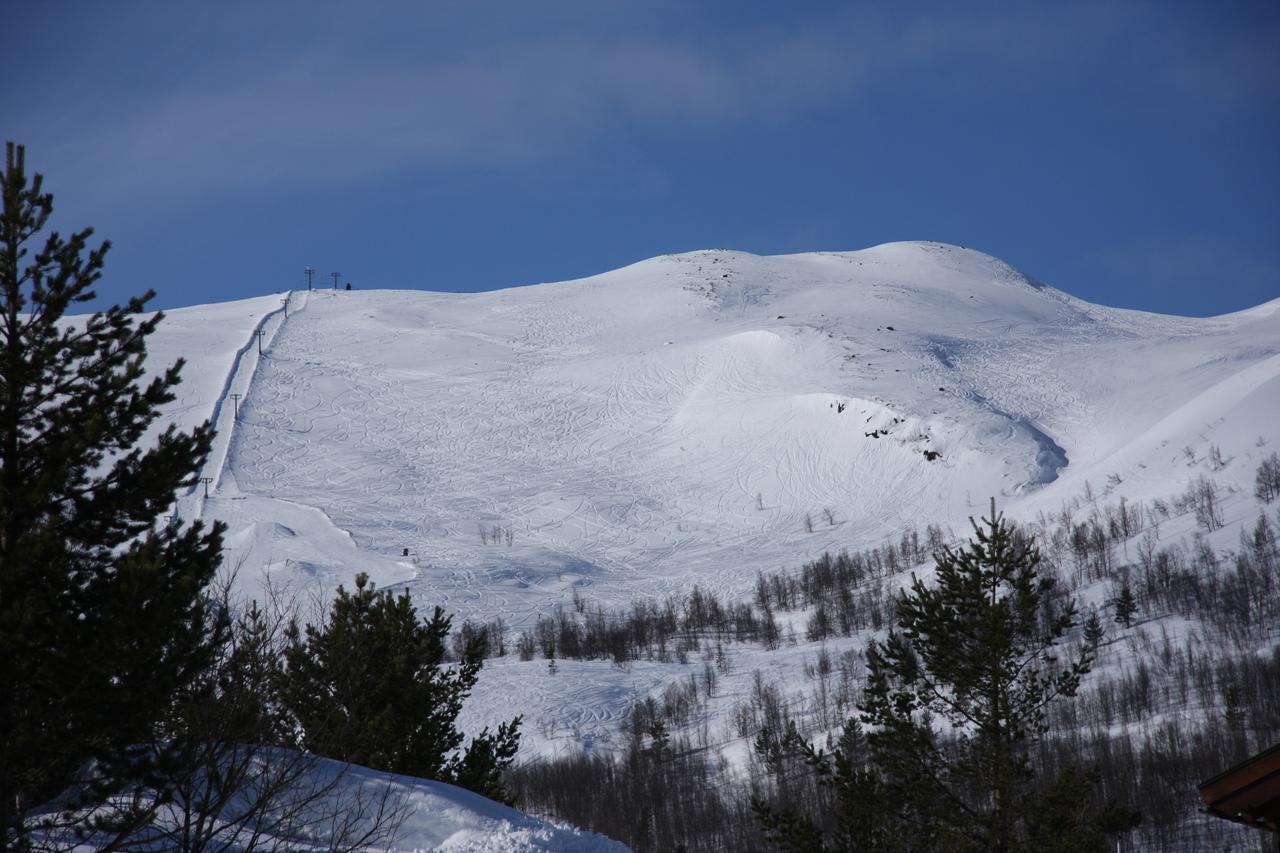 Lemonsjo Fjellstue Og Hyttegrend Randsverk ภายนอก รูปภาพ
