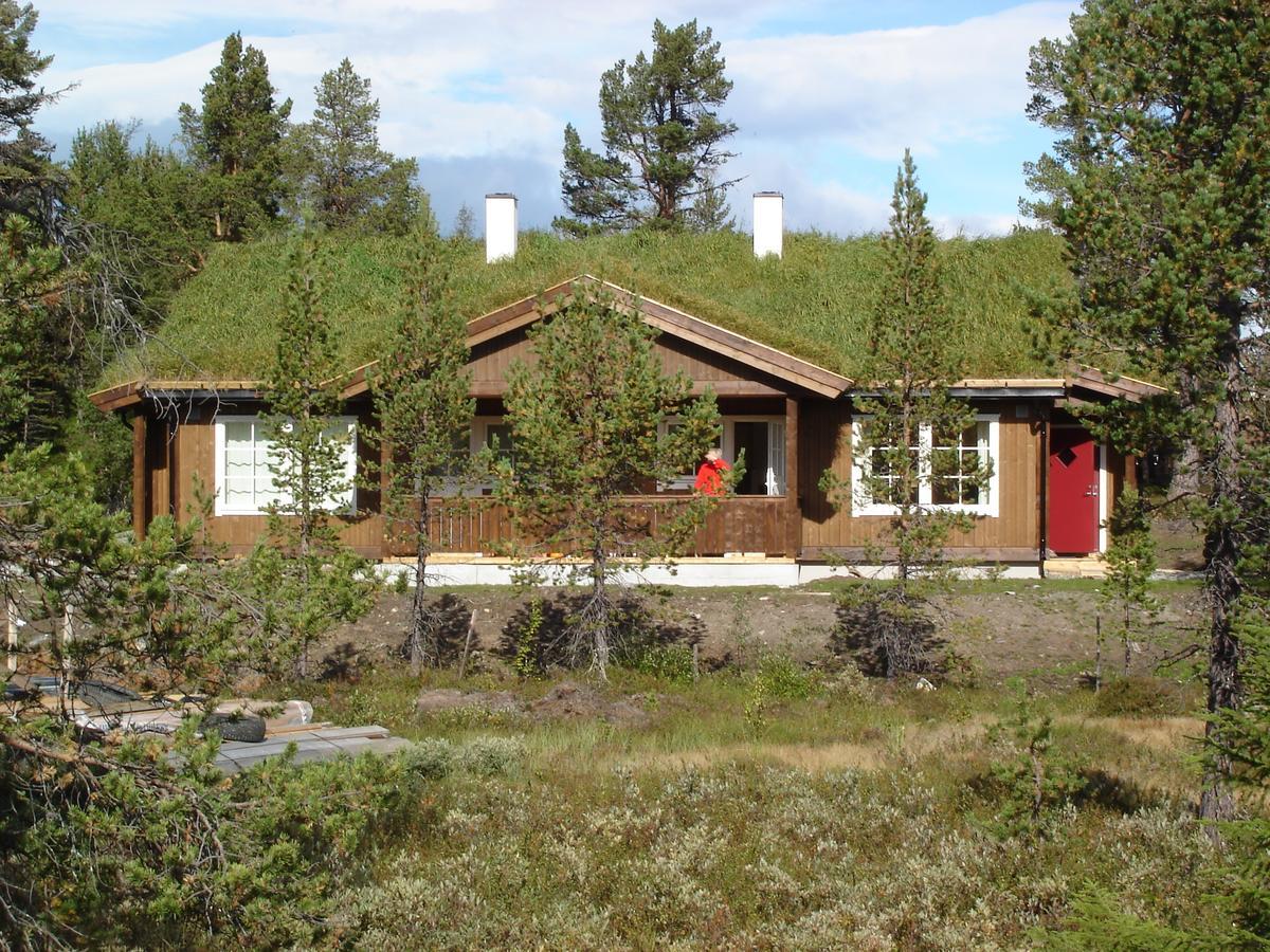 Lemonsjo Fjellstue Og Hyttegrend Randsverk ห้อง รูปภาพ