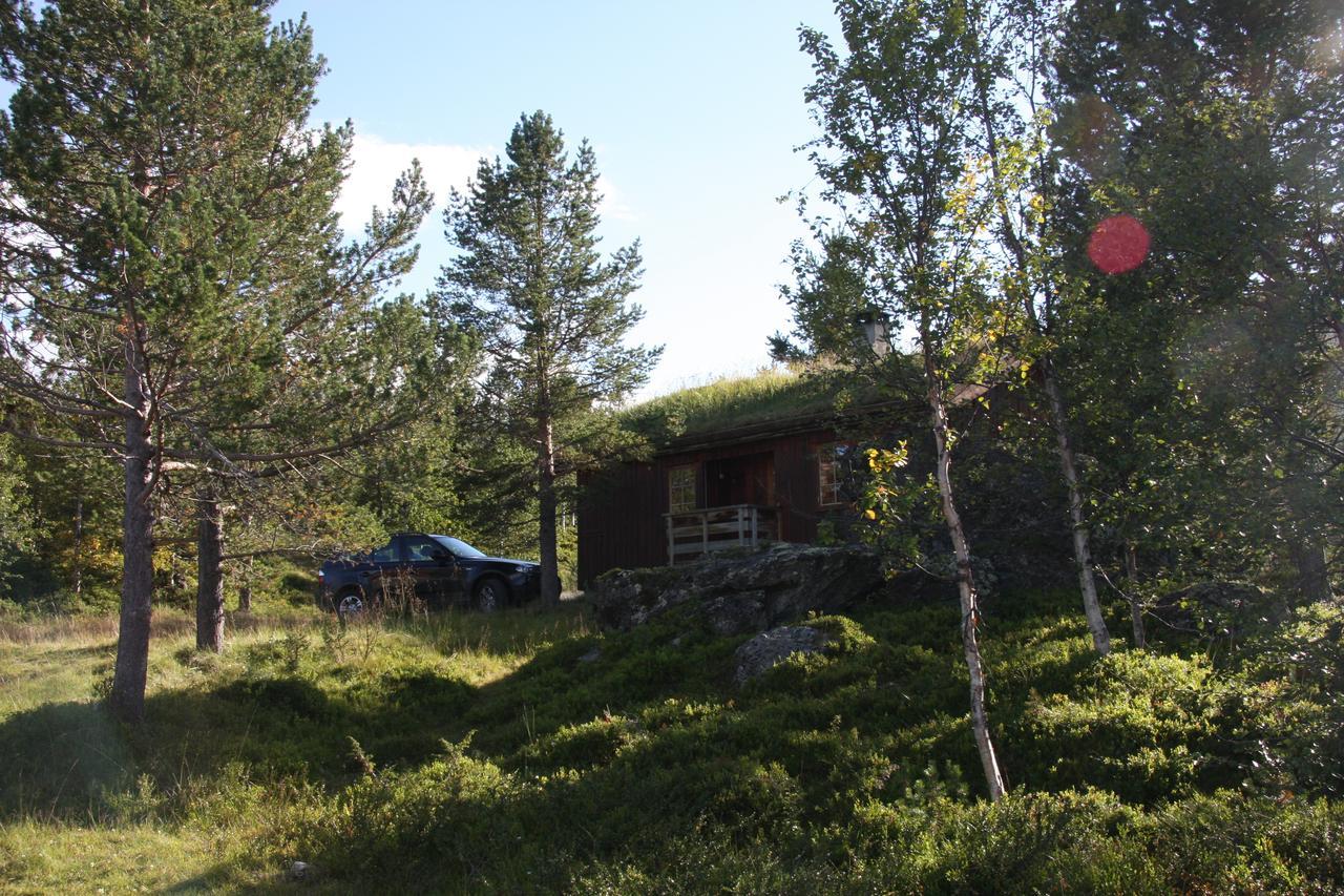 Lemonsjo Fjellstue Og Hyttegrend Randsverk ภายนอก รูปภาพ