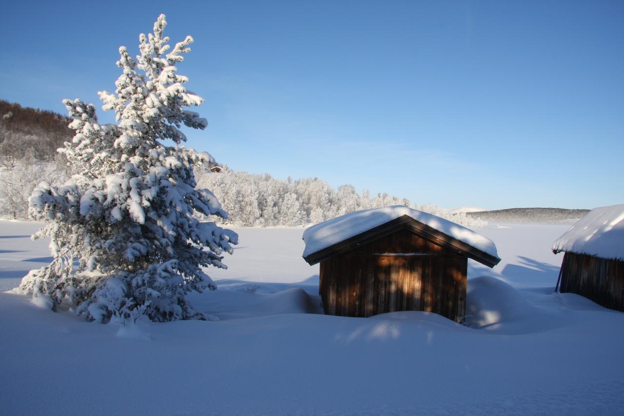 Lemonsjo Fjellstue Og Hyttegrend Randsverk ภายนอก รูปภาพ