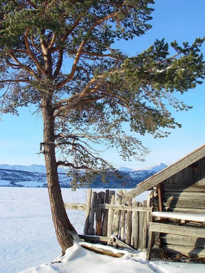 Lemonsjo Fjellstue Og Hyttegrend Randsverk ภายนอก รูปภาพ